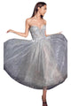 Prom Dress 2025 Strapless A-Line Elegant Evening Gown - Silver / 6 - Prom