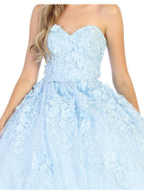 Plus Size Quinceanera Dress Ball Gown Sweetheart Floral Style LK140
