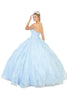 Quinceanera Ball Gown And Plus Size