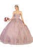 Quinceanera Ball Gown And Plus Size