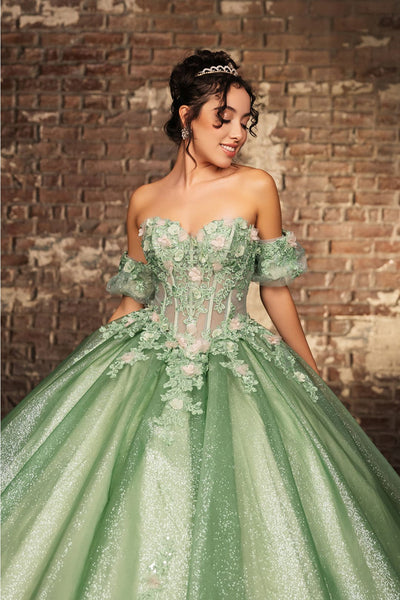 Layla K Lk245 Juniors Womens Floral Applique Sweetheart Quince Ball Long Gown
