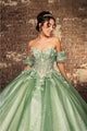 Quinceanera Dress Prom Ball Gown Floral Fitted Corset Glitter by LK245 - Dress