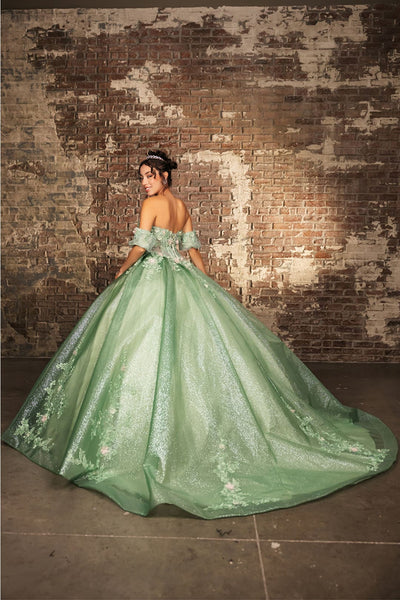 Quinceanera Dress Prom Ball Gown Floral Fitted Corset Glitter by LK245