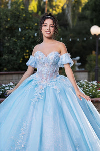 Quinceanera Dress Prom Ball Gown Floral Fitted Corset Glitter by LK245 - Dress