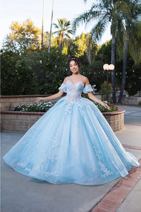 Quinceanera Dress Prom Ball Gown Floral Fitted Corset Glitter by LK245 - TIFFANY/BLUE / 2 - Dress