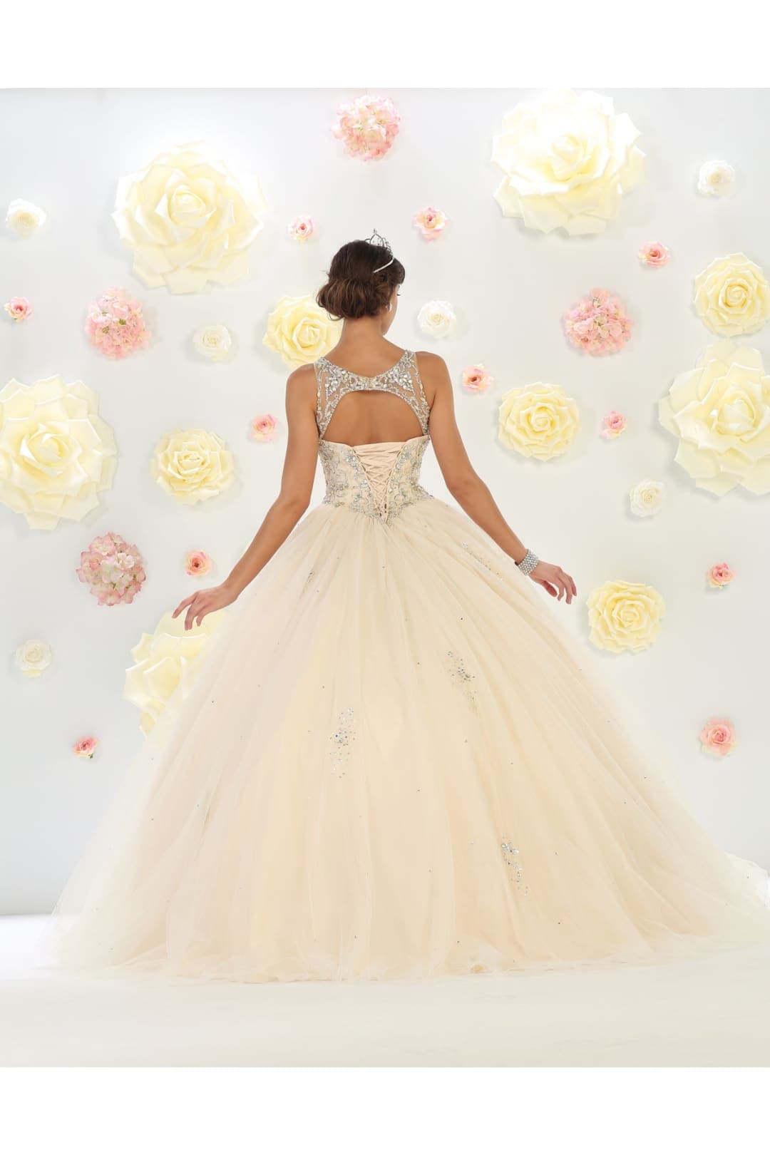 Quinceanera Party Ball Gown