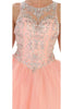 Quinceanera Party Ball Gown
