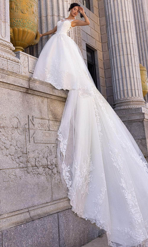 Rachel Allan RB4210 Illusion Scoop Bridal Gown with Detachable Train