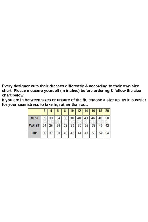 Royal Queen RQ8039 Spaghetti Strap Glitter V-Neck Prom Dress - Dress