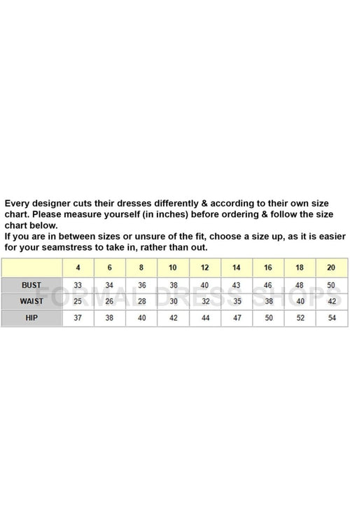 Royal Queen RQ8113 Prom Silver Embellished Sequin Long Dress - Dress
