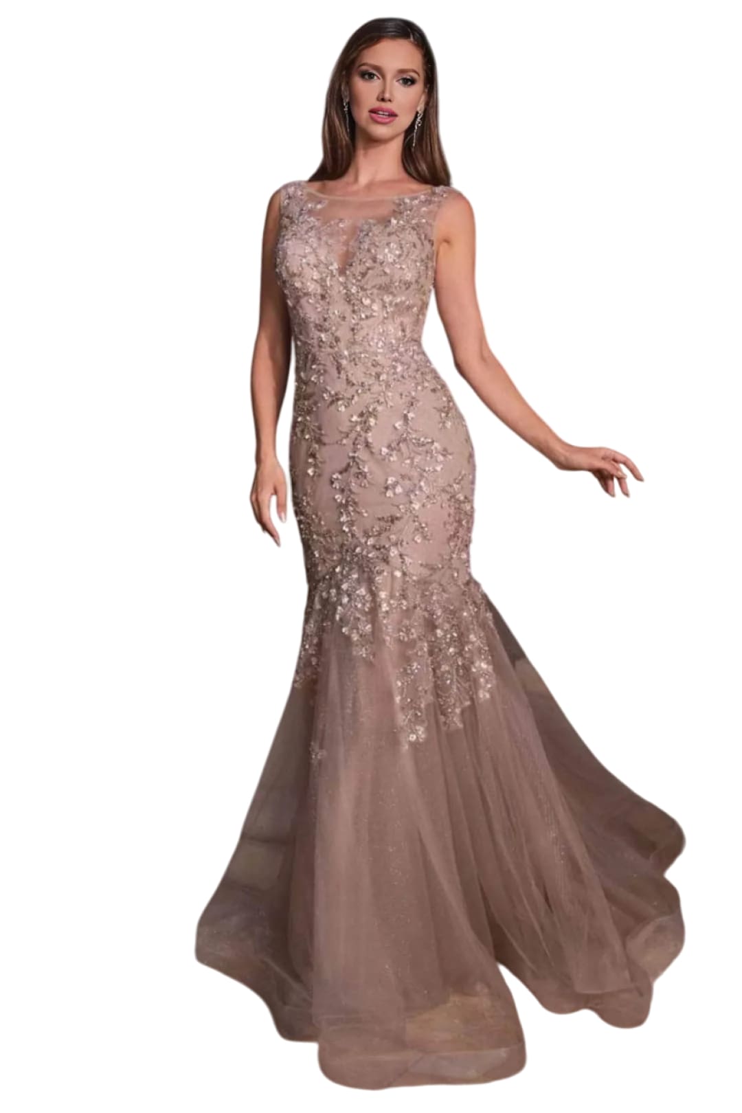 Sheath Gown 2025 Illusion Floral Applique Elegant Evening Dress - Deep Silver / 2 - Prom