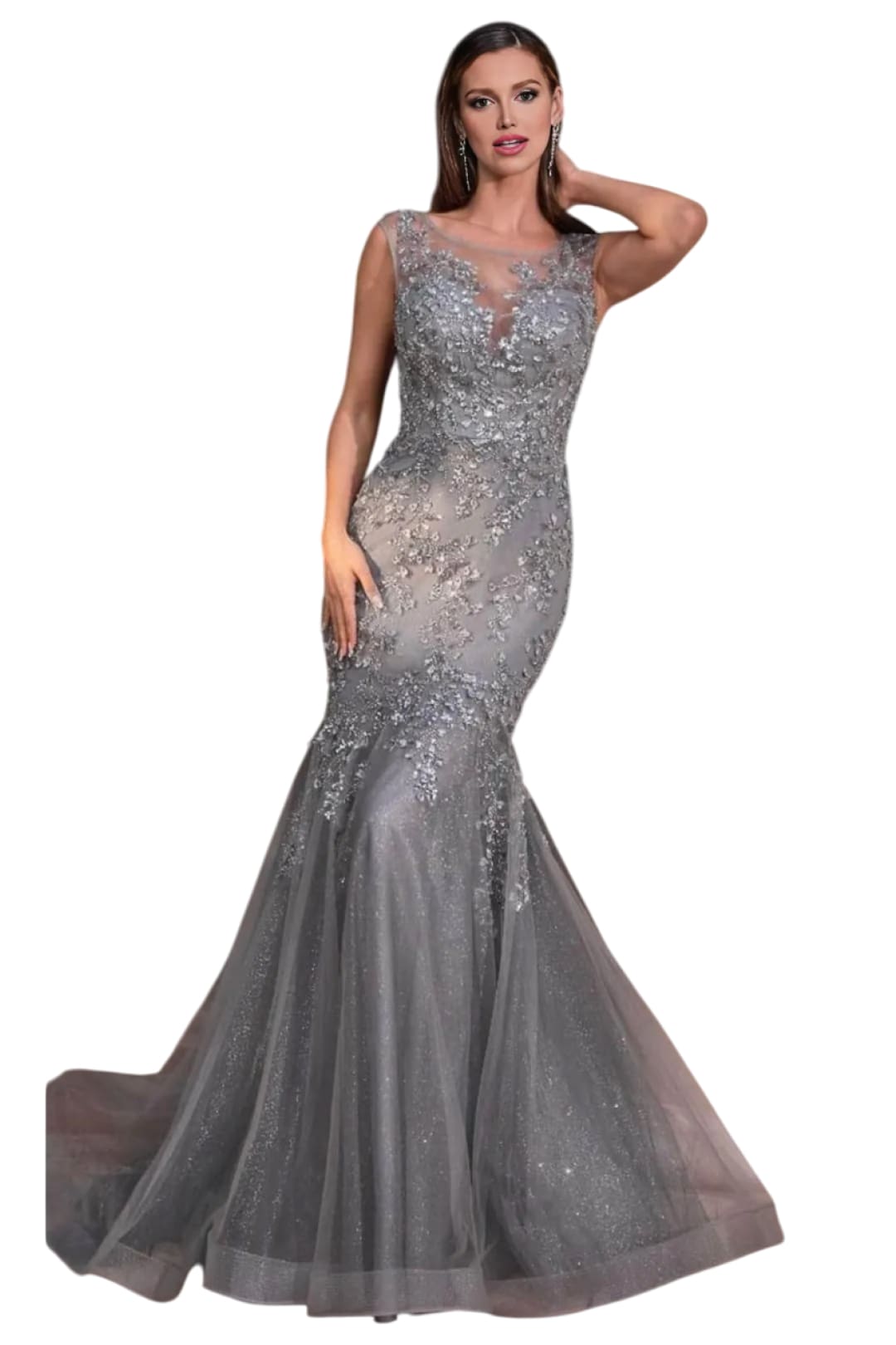 Sheath Gown 2025 Illusion Floral Applique Elegant Evening Dress - Mink / 2 - Prom
