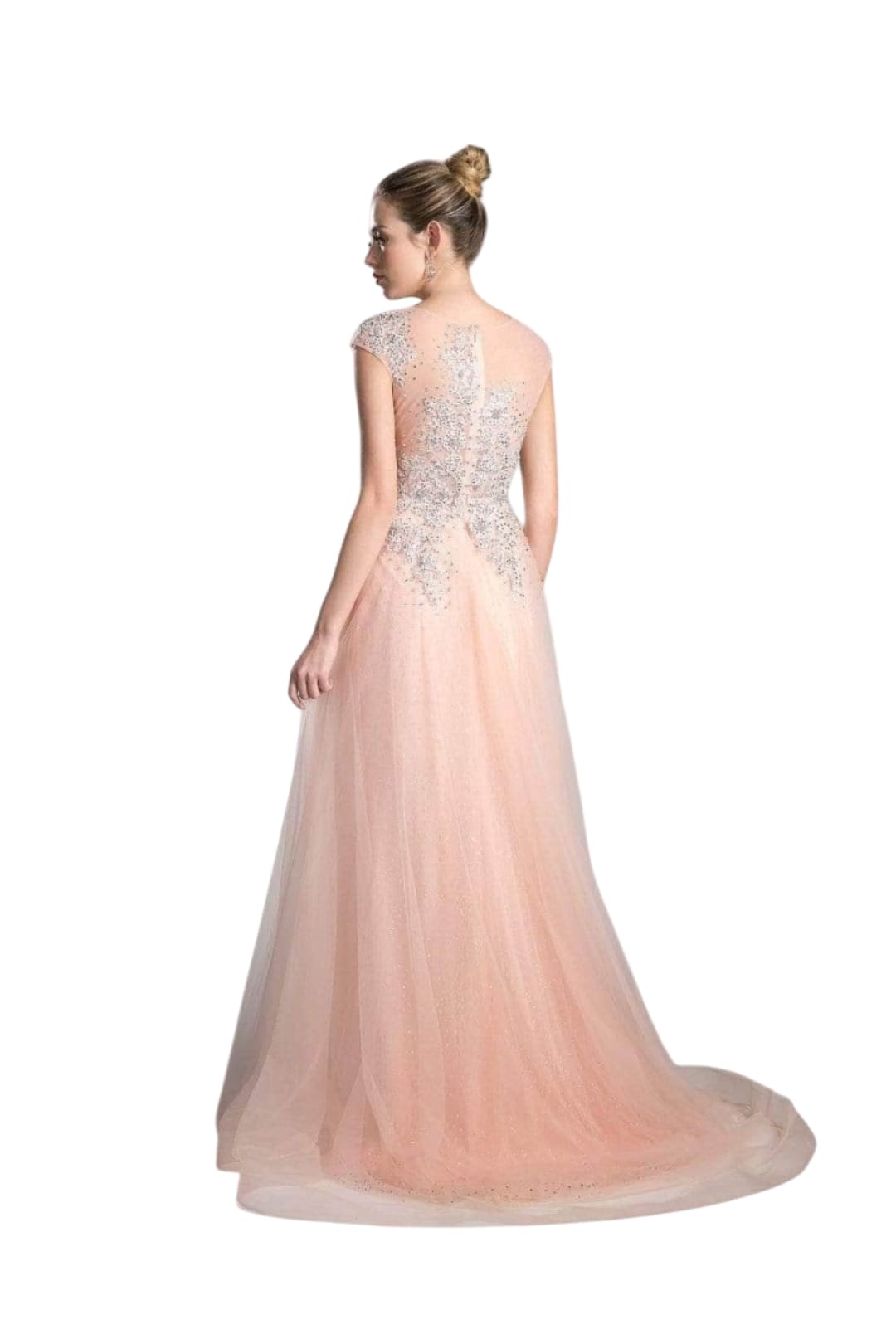 Sheer Scoop Beaded Tulle Evening Gown 2025 Elegant Formal Dress - Prom
