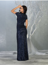 Sequin Formal Gown Shimmering Long V-Neck Evening Dress & Plus Size