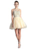 Short Dress 2025 Lace Appliqued Strappy Party Gown - Off White / XXS - Prom