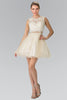 Short Dress with Lace Bodice and Sheer Waistline by Elizabeth K GS1427-Short Cocktail Dresses-ABC Fashion