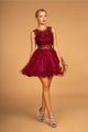 Short Dress with Lace Bodice and Sheer Waistline by Elizabeth K GS1427 - S / Burgundy - Short Cocktail Dresses