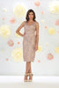 Short Mother of the Bride Dress - Taupe / 4XL