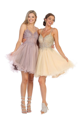 Short Prom Dress Fit and Flare Embroidered Homecoming Outfit By MQ1693