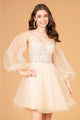 Short Puff Sleeve A-line Dress by Elizabeth K GS3095 - Short Cocktail Dresses
