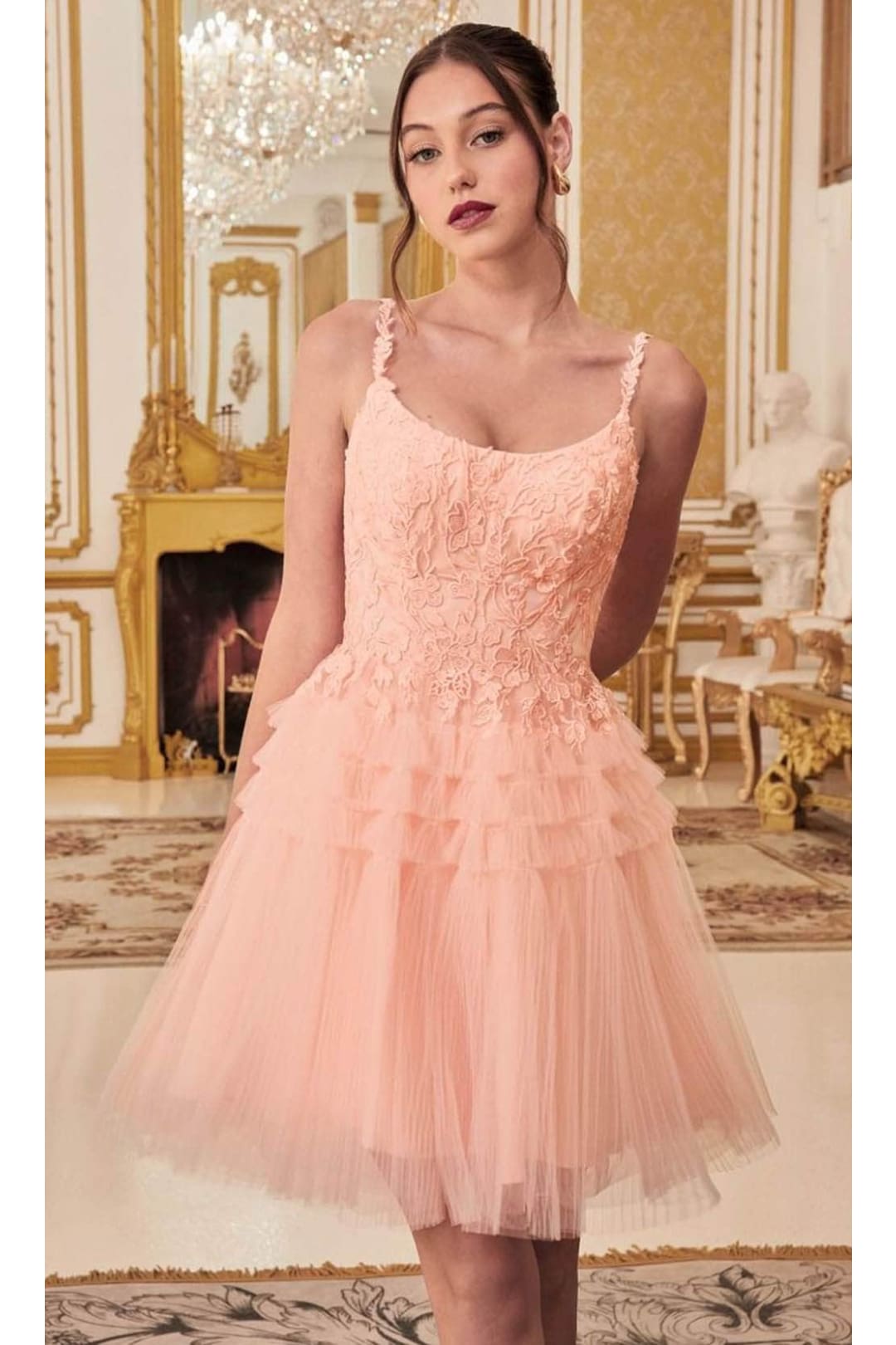 Ladivine 9310 - Embroidered A-Line Cocktail Dress - Prom