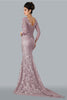 22355 Formal Long Fitted Evening Dress Rose