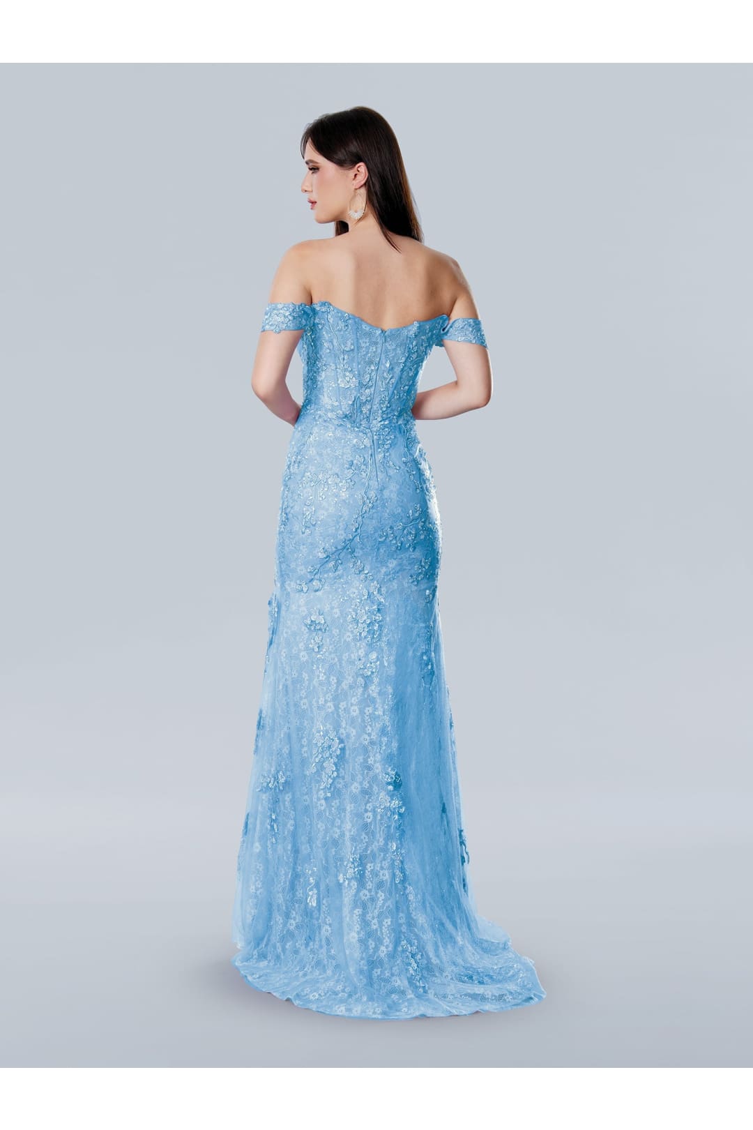 Prom Dresses A Line Long Formal Floral Lace Applique Prom Dress Light Blue