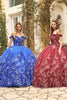 Juliet 1447 Off Shoulder 3D Floral Applique Sweet 16 Quince Ball Gown - Dress