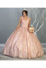 Sweet 16 Floral Ball Gown - BLUSH / 2