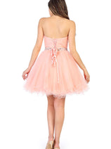 Strapless Mesh Cocktail Party Dress MQ1283