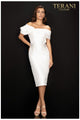 Terani Couture 2011C2009 Sophisticated Short Formal Dress
