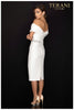 Terani Couture 2011C2009 Sophisticated Short Formal Dress