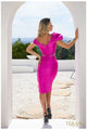 Terani Couture 2011C2009 Sophisticated Short Formal Dress