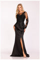 Terani Couture 231M0482 Long-Sleeve Mother of the Bride Dress
