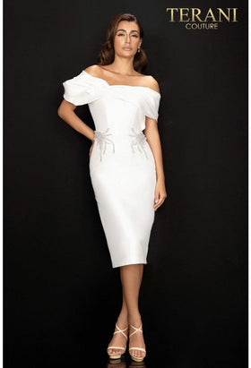 Terani Couture 2011C2009 Glamorous Formal Pageant Column Evening Premium Dress