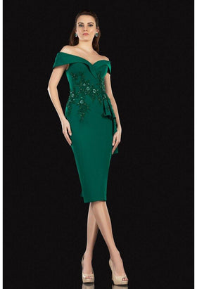 Terani Couture 2021C2625 Formal Prom Off-Shoulder Sheath Evening Premium Dress