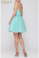 Terani Couture 2011P1024 Spaghetti Strap Dress for Special Occasions