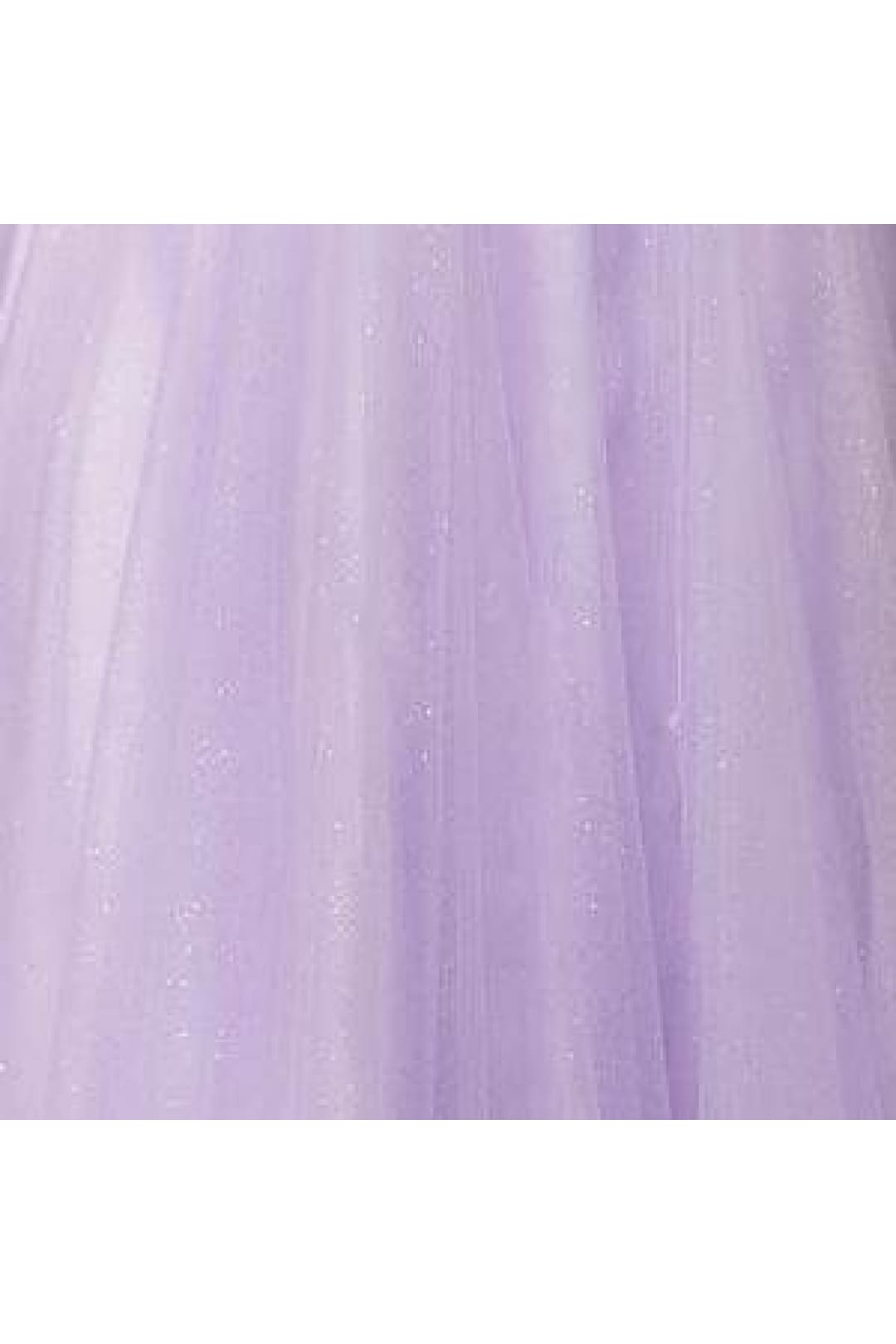 Tulle Sleeveless A-line Gown by Jovani 22831 - 00 / Lavender - Long Formal Dresses