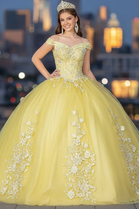 Floral Embroidered Ball Gown by Elizabeth K GL2802