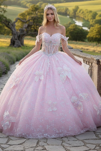 Baby Pink Quinceanera Dress 3D Butterfly Ball Gown by Elizabeth K GL3651