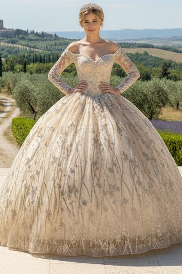 Quince Formal Dress Ball Gown Long Sleeve Beaded