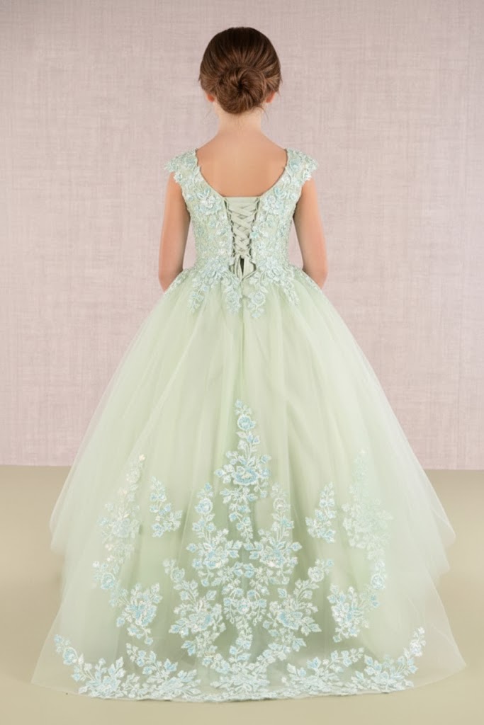 Embroidered Cap Sleeve Gown by Elizabeth KGK108