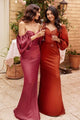 Western Dress For Women in SIENNA By Cinderella Divine 7482 - Sienna / 8