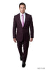 Men’s 2 Piece Ultra Slim Fit Solid Suit - PLUM - 05 / US34S/W28 / EU44S/W38 - Mens Suits